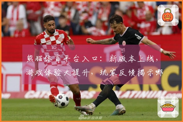 熊猫体育平台入口：新版本上线，游戏体验大提升，玩家反馈揭示哪些变化最受欢迎
