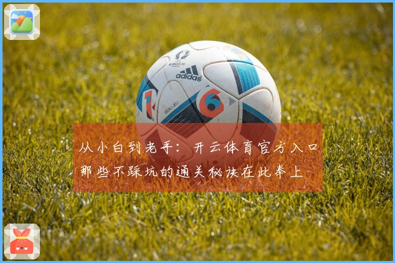 从小白到老手：开云体育官方入口那些不踩坑的通关秘诀在此奉上