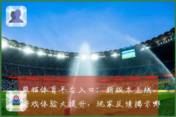 熊猫体育平台入口：新版本上线，游戏体验大提升，玩家反馈揭示哪些变化最受欢迎